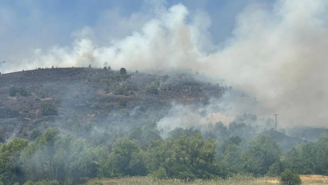 Elazığ'da orman yangını 30